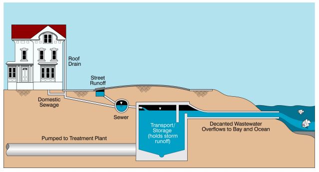 The SF Sewer System, provided by the Sewer System Improvement Program (SSIP) report