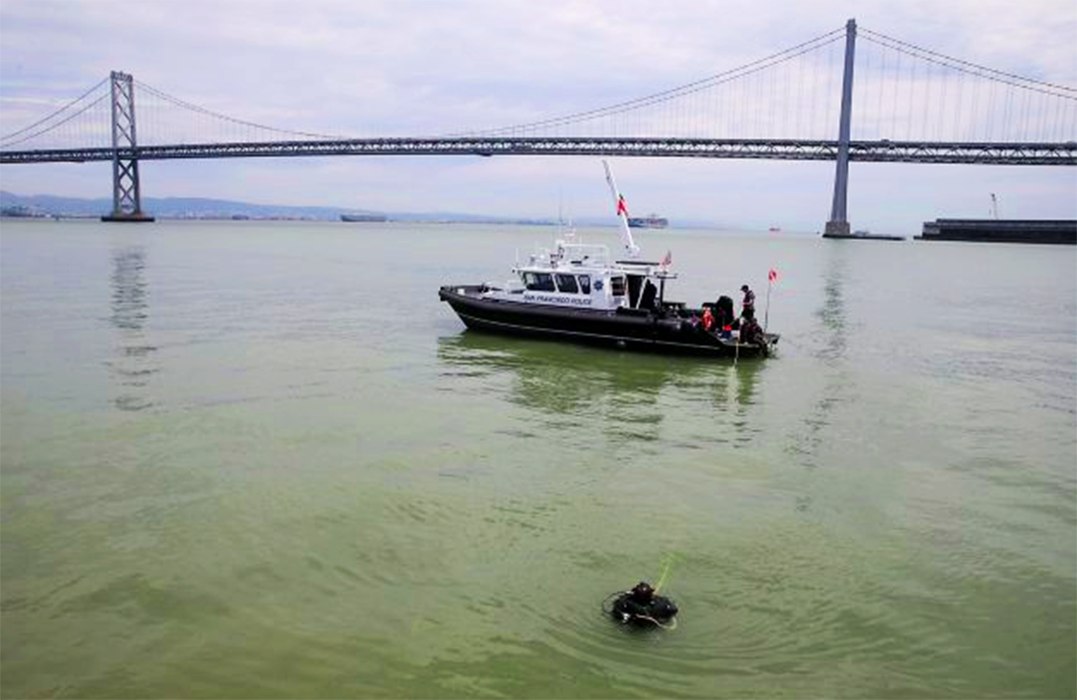 Divers find a dead cat in the San Francisco Bay while searching for the for the Pier 14 murder weapon.