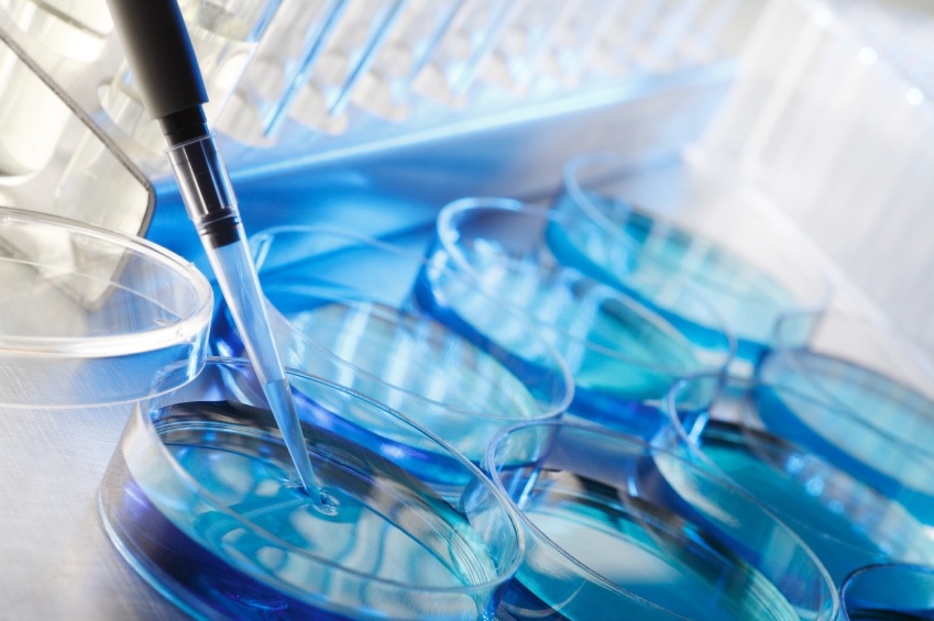 Court Case Over Frozen Embryos