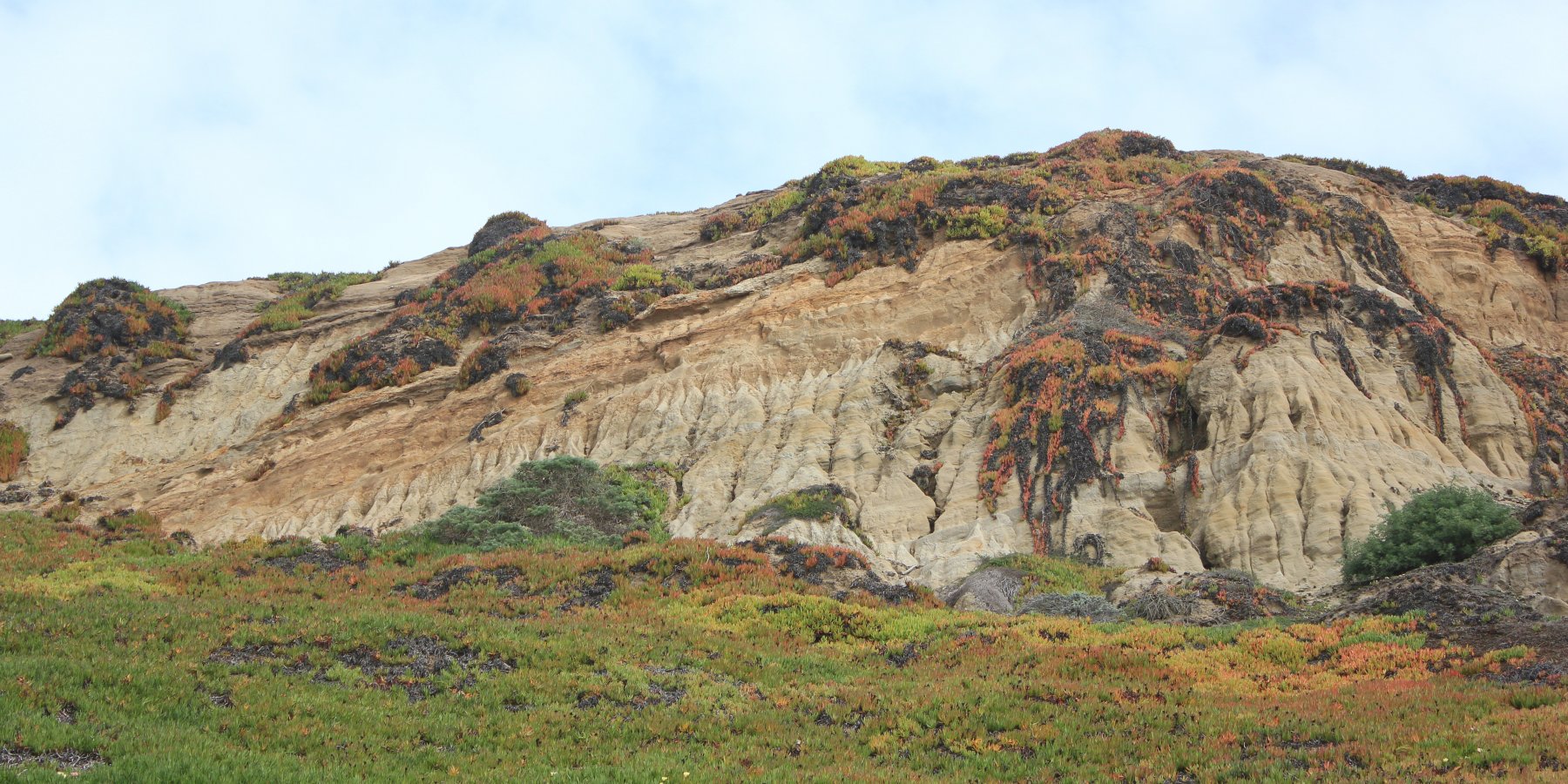 Man Dies In Hang Gliding Accident