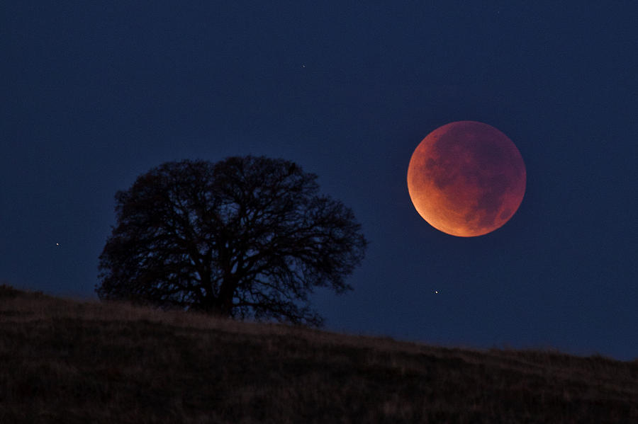 Supermoon Eclipse