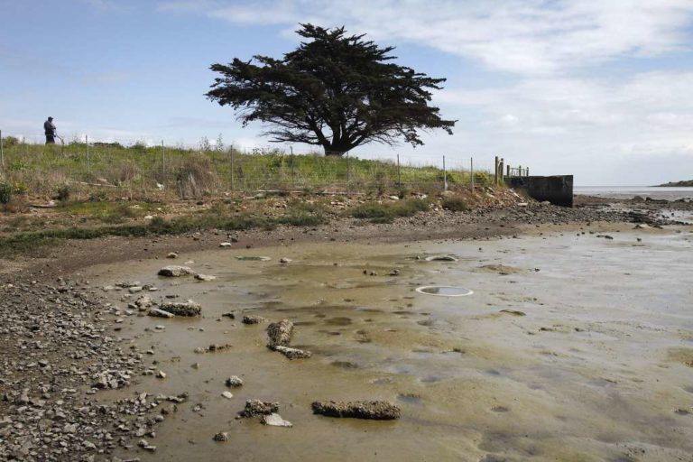 EPA Preparing To Clean Yosemite Slough
