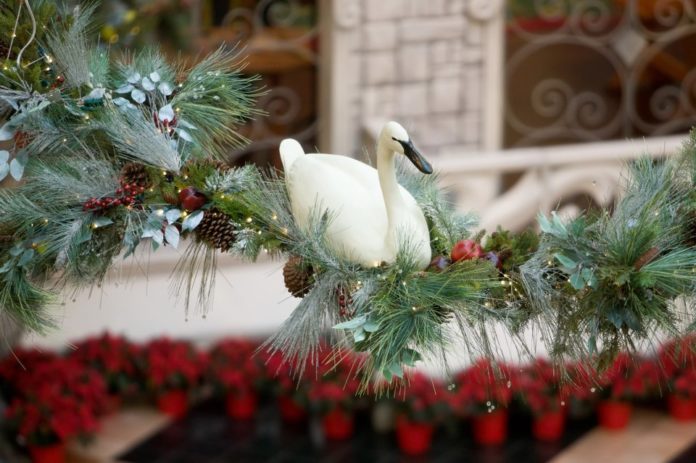 Glorious Christmas Memories