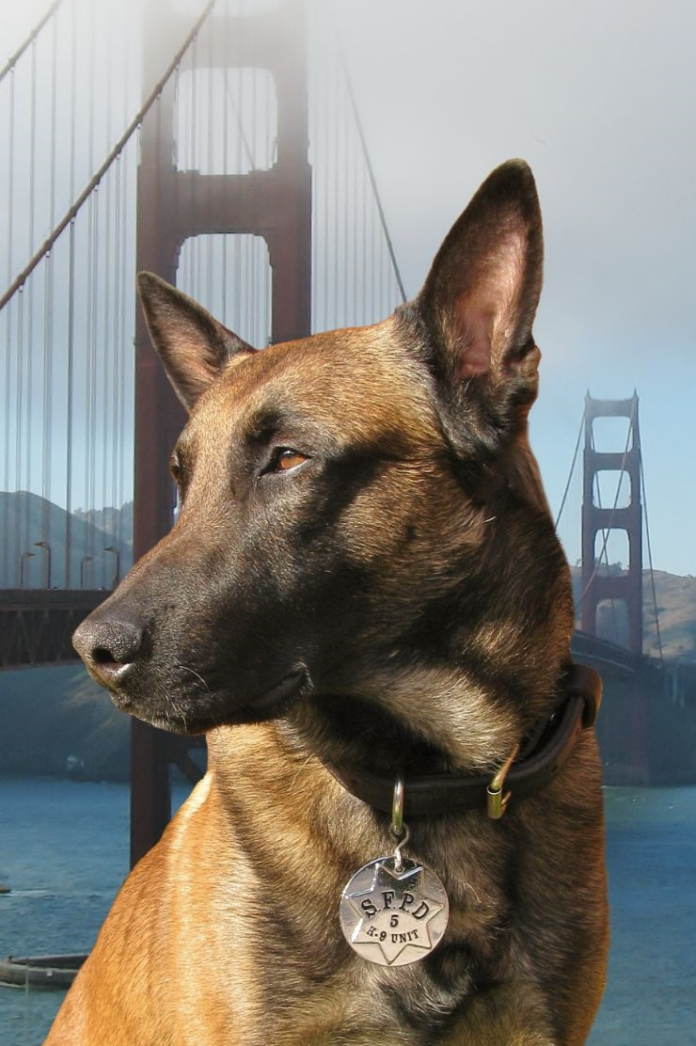 Police Department Mourns Loss Of Canine Member, Cavik