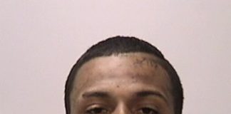 Auto Burglary Suspects Busted