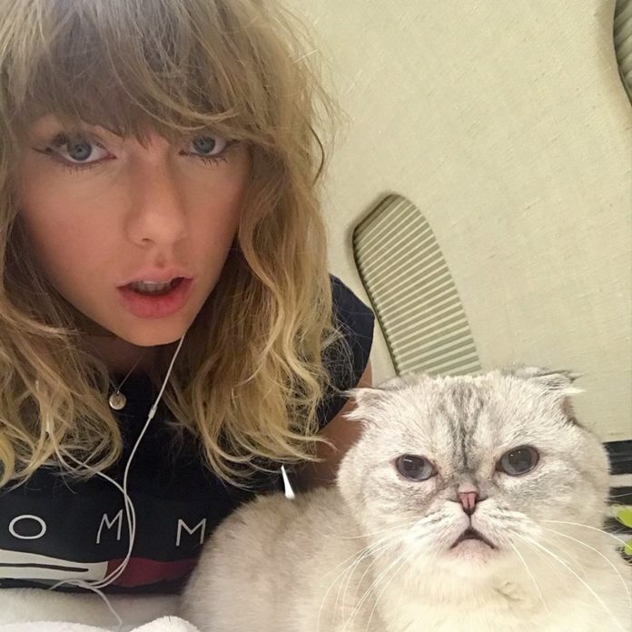 Taylor Swift Trespasser In BH