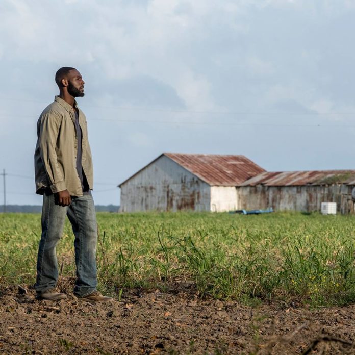 “Queen Sugar” Back For Season 3!