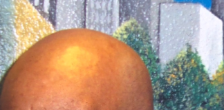 Homicide Suspect Robert Riley At Large