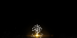 “Hereditary” Is Utterly Disturbing!