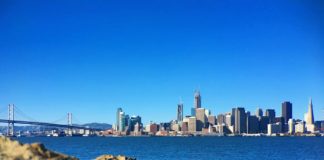 Diane Rea Appointed County Clerk