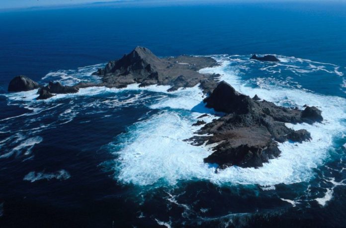 SFPD Marine Unit Rescues Shark Attack Victim