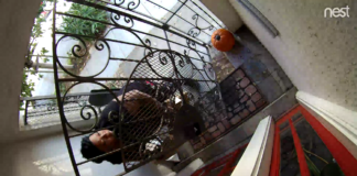 Package Thief Arrested By Officers