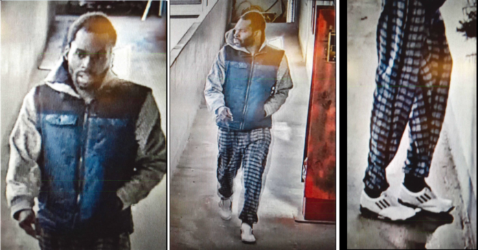 Suspect Who Sexually Assaulted Woman Arrested