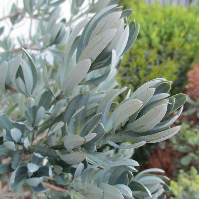 Pruning Late Might Be Justified pruning