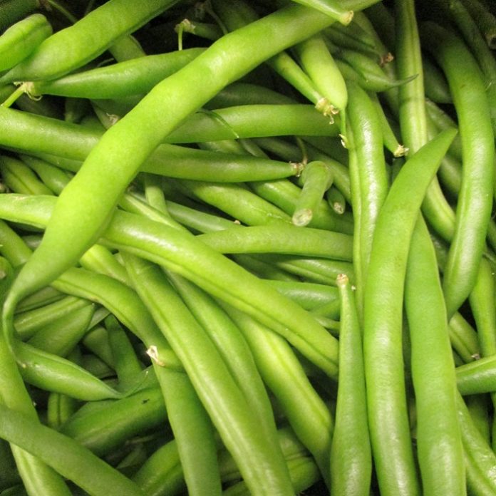 Crop Rotation Improves Vegetable Production crop rotation