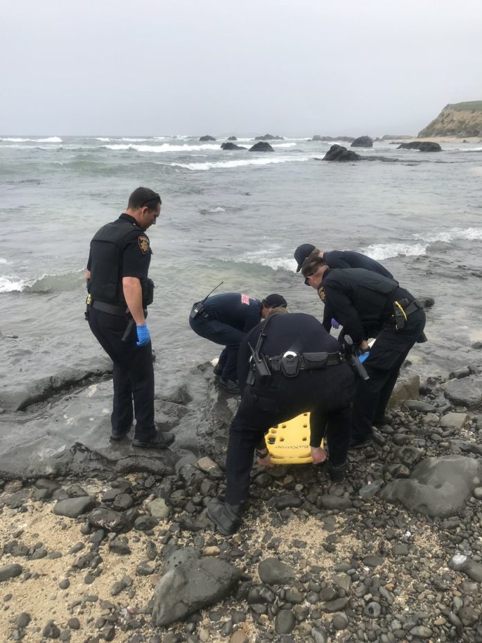 Man’s Body Found In Ocean In Half Moon Bay
