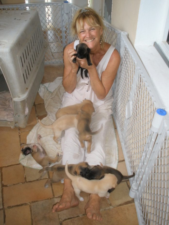The Dog Lady Of Mexico