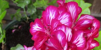 Summer Turns Up The Heat heat