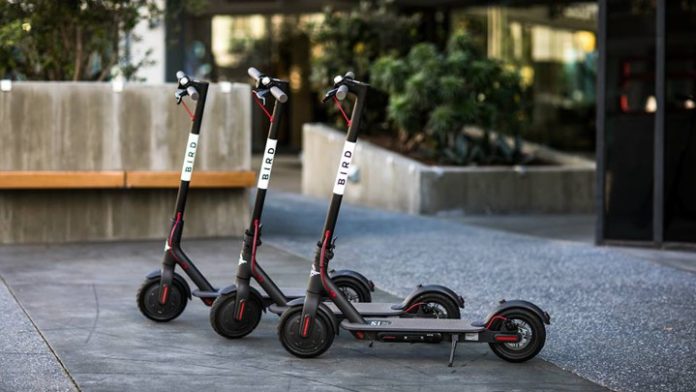 Bird Purchases Scoot, Acquiring E-Scooter Permit