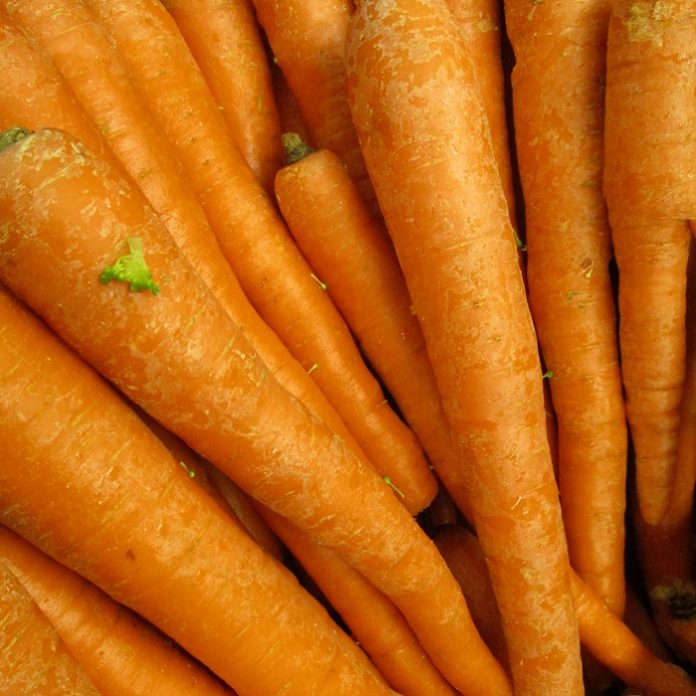 Get Cool Season Vegetable Plants Going vegetable