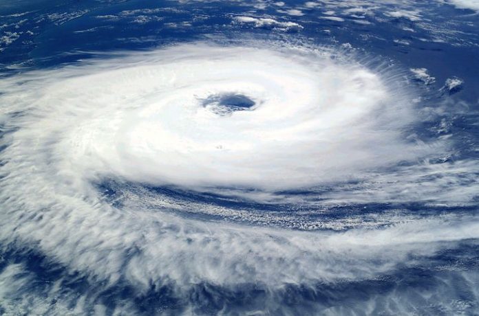 Hurricanes Teach When To Hold ‘em And When To Fold ‘em