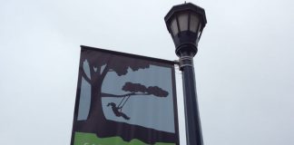 Recreation And Park Department Offers Free Admission Into Public Pools