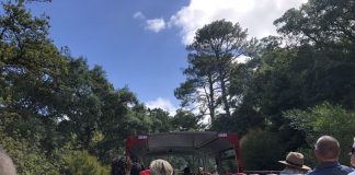 San Francisco Tour Bus Company Faces Lawsuit