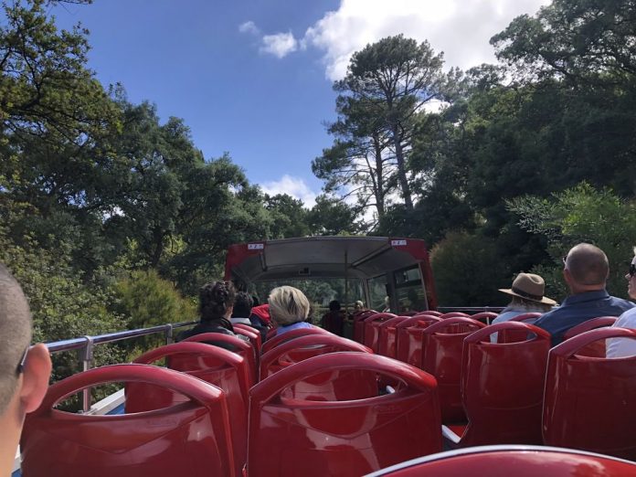 San Francisco Tour Bus Company Faces Lawsuit