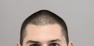 Xavier Gonzalez Arrested For Attacking Elderly Woman