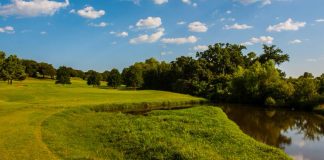 Deceased Baby Found On Lincoln Park Golf Course
