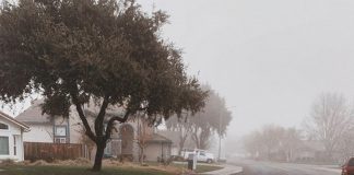 ‘Open Street’ Project Permanently Closed Off To Vehicles The street is still open to bicyclists.