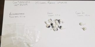 Drug Dealer Arrested Twice In Less Than A Month