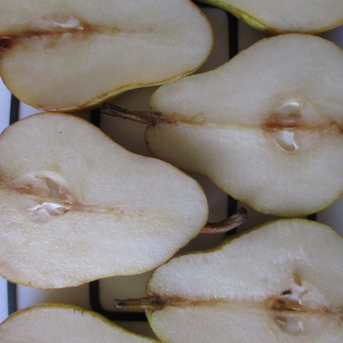 Fruit Trees Need Specialized Pruning fruit trees