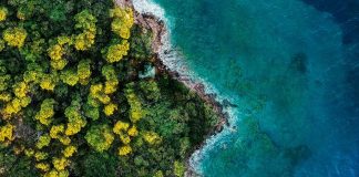 “Fantasy Island” Is Nothing To Scream About