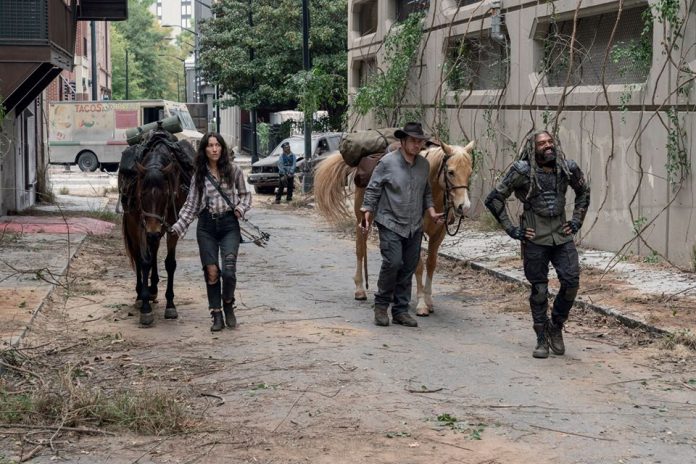 “Walking Dead” Recap: ‘Look At The Flowers’