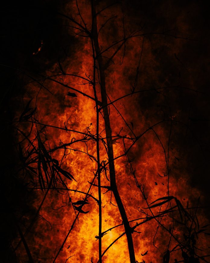 PG&E Pleads Guilty To Manslaughter After Fire