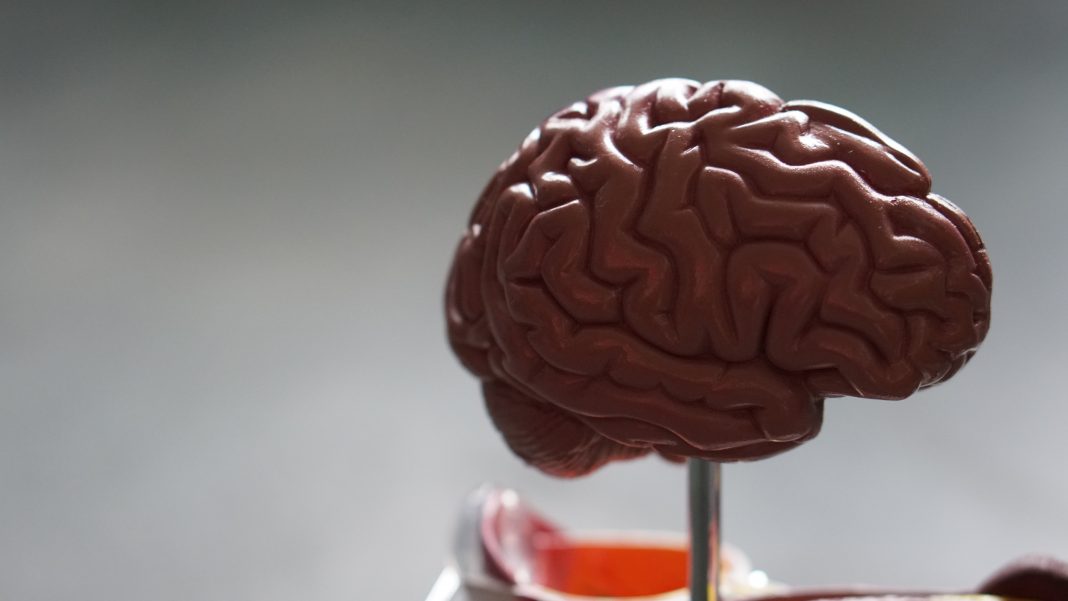 Neuroscience Pic