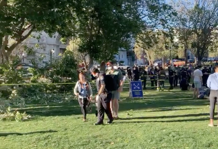 Fallen Tree Branch Injures Five In Washington Square Park