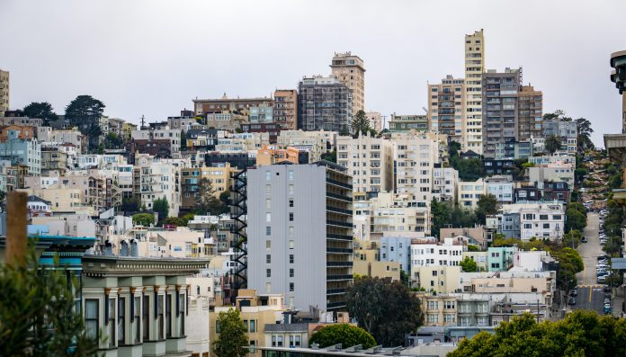 Mountain Lion Sighted In Russian Hill