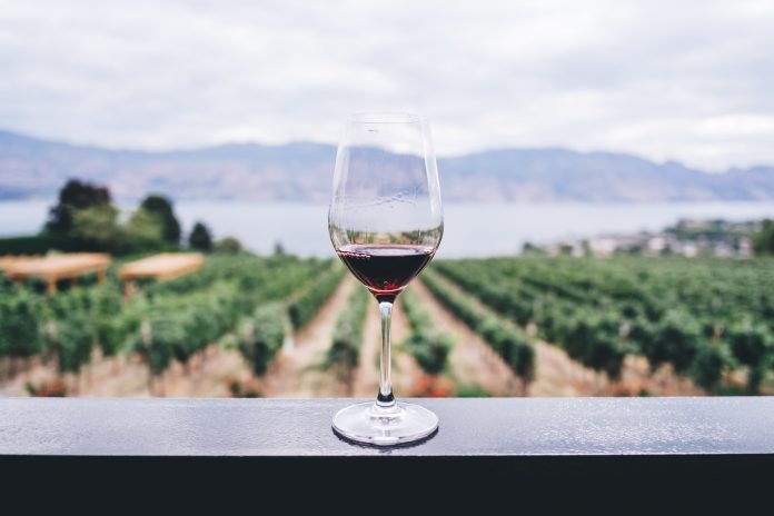 Sonoma Wineries Reopen