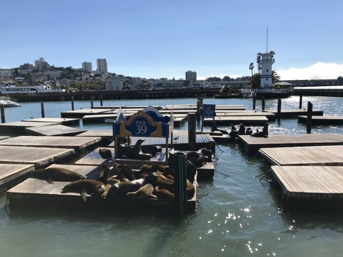 Pier 39 Re-Opening