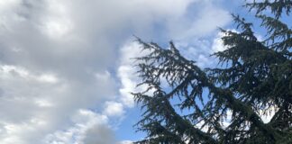 Three-Alarm Fire In San Francisco Near Lafayette Park