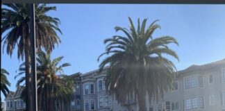 New Speed Bump Placed On Dolores Street