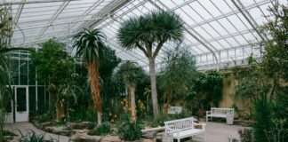 SF Botanical Garden Sets Free Tuesdays