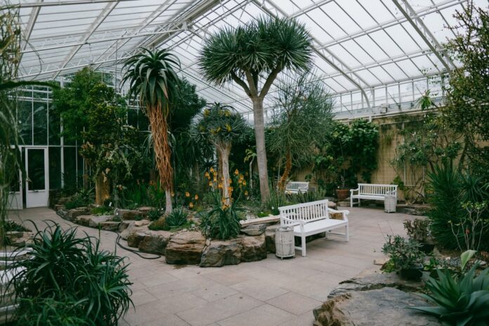 SF Botanical Garden Sets Free Tuesdays