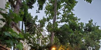 Potential Closing Of 42 Streets To Make Room For Outside Dining