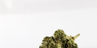 Record-Breaking Increase In Cannabis Retailing