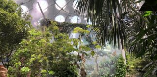 Zoos And Aquariums Impacted By Pandemic