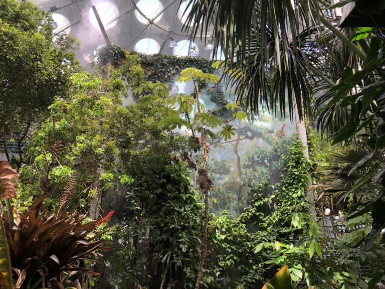 Zoos And Aquariums Impacted By Pandemic