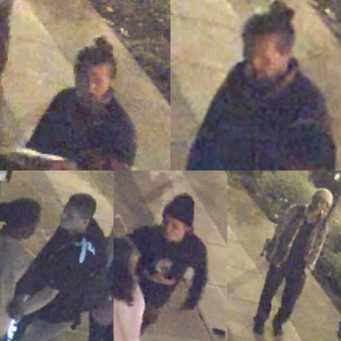 SFPD Looking For Witnesses In Dolores Park Assault